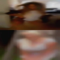 Local horny women